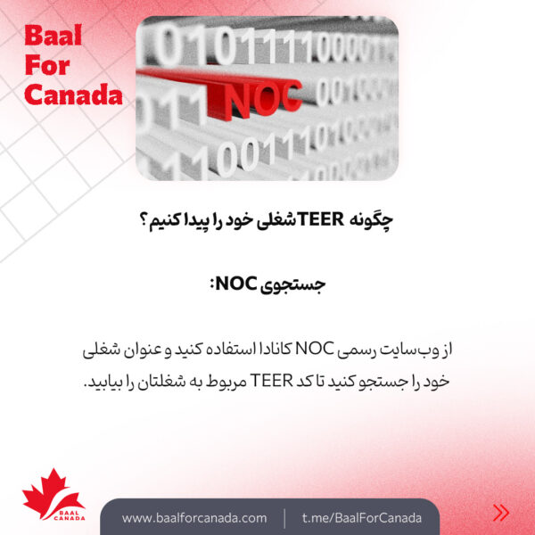 اقامت دائم کانادا با توجه به شغل